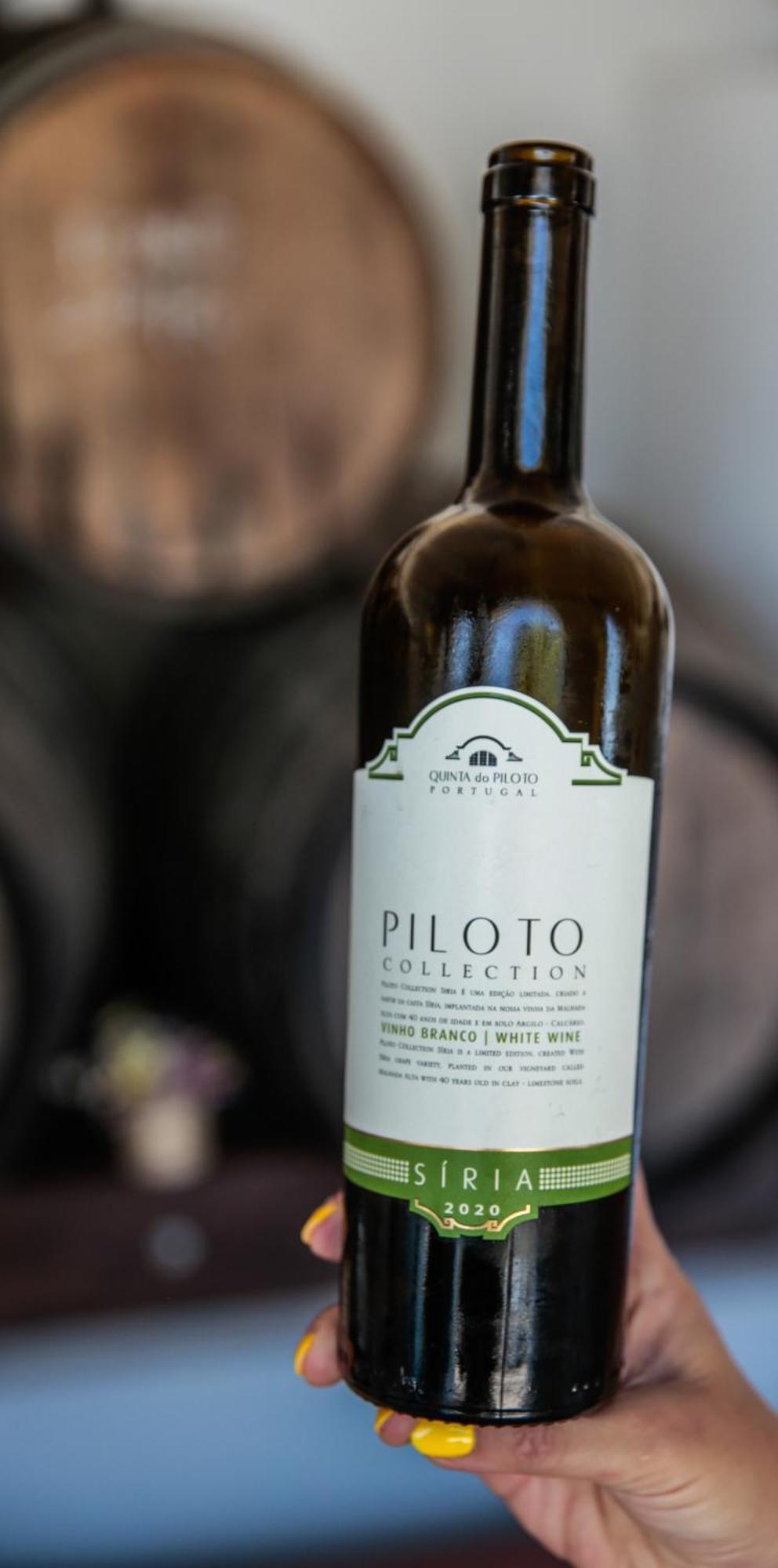 Quinta Do Piloto Pensionat Palmela Eksteriør billede