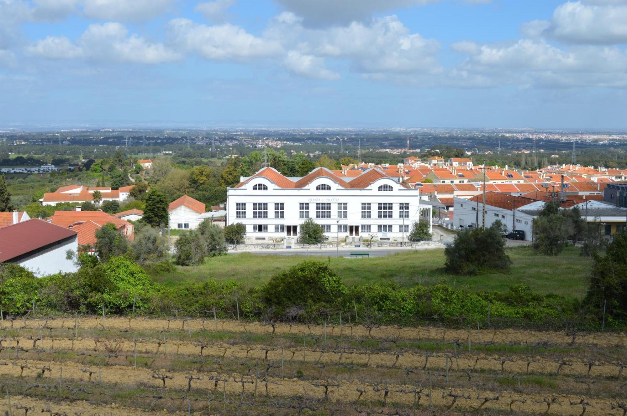Quinta Do Piloto Pensionat Palmela Eksteriør billede